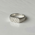 Ocean ring